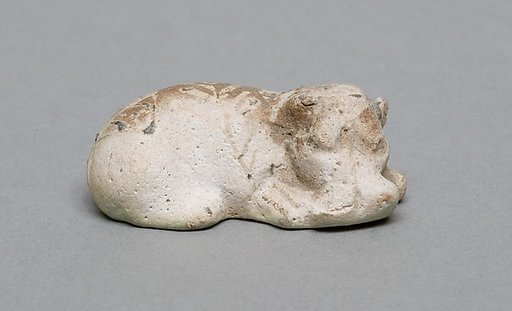 Hippopotamus