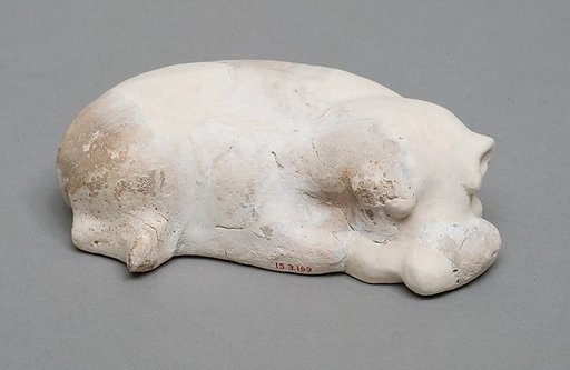 Hippopotamus