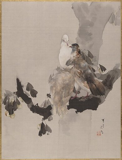 Pigeons in a Tree