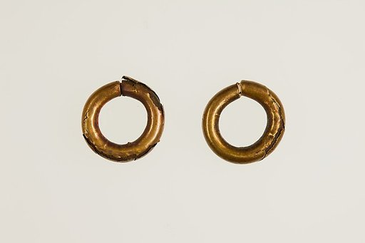 Pair of Earrings (with 16.10.310)