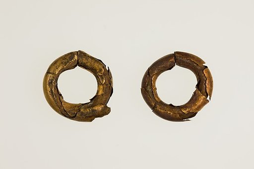 Pair of Earrings (with 16.10.313)