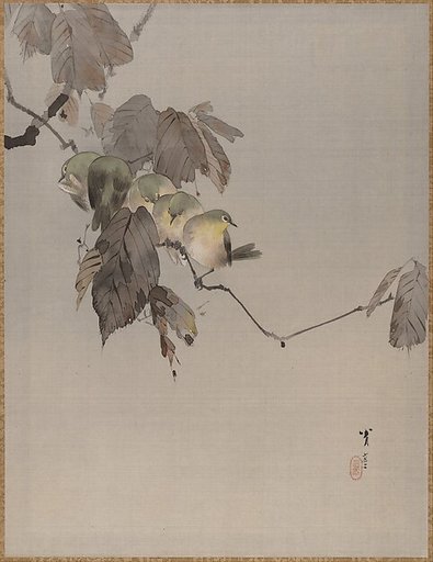 Birds on a Branch