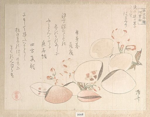 Cherry Blossoms and Shells