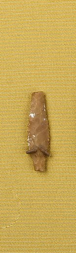 Projectile Point