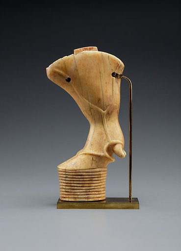 Bull's leg