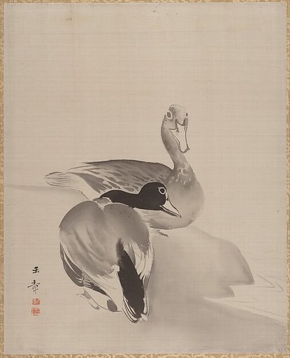 Pair of Ducks