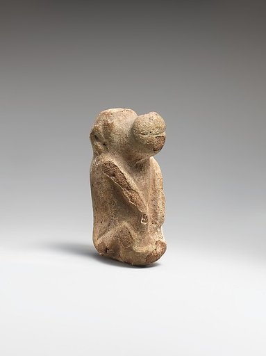 Juvenile Baboon