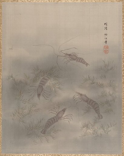 Shrimp (Ebi)