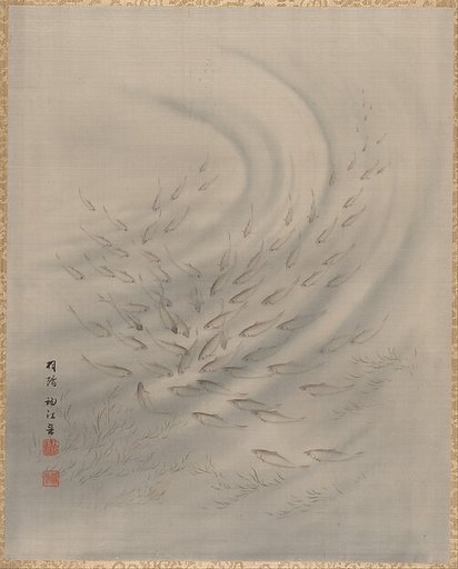 Small Fishes