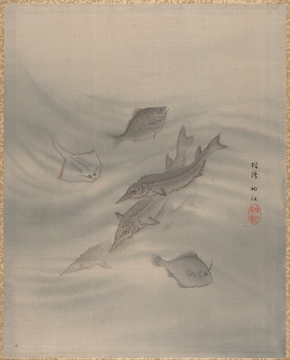 Fishes