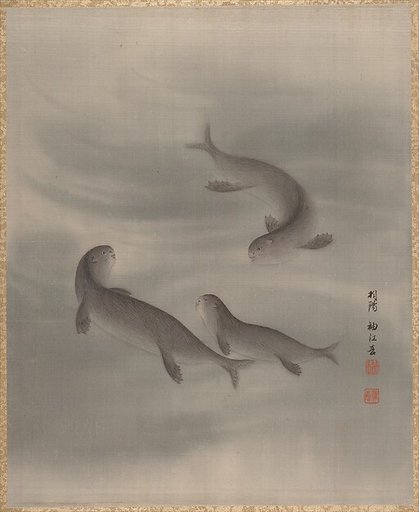 Otters Swimming