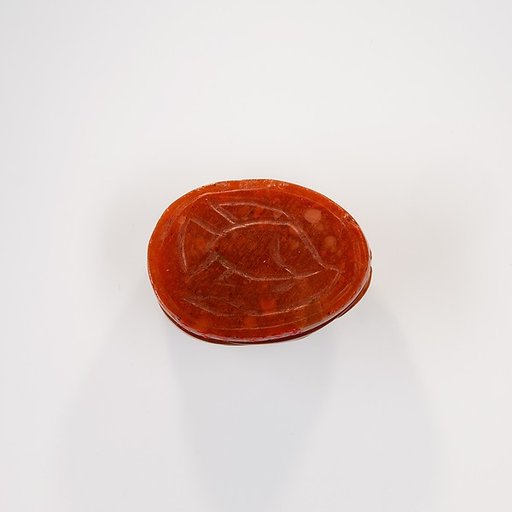 Scarab with Tilapia Fish