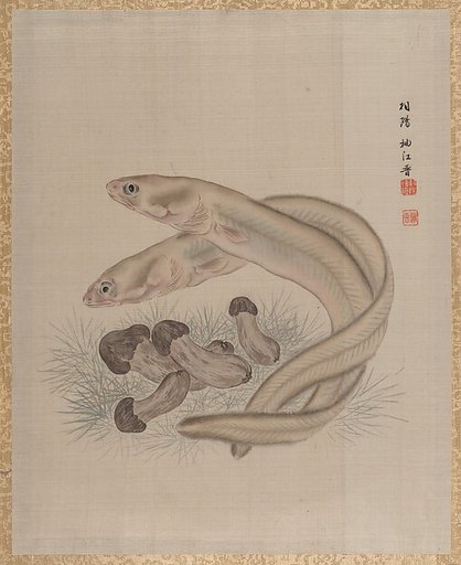 Eels
