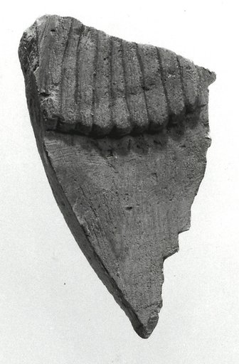Raised relief fragment