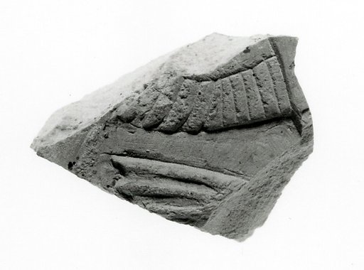 Raised relief fragment