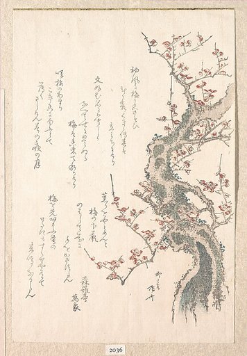 Spring Rain Collection (Harusame shū), vol. 1: Plum Tree in Bloom