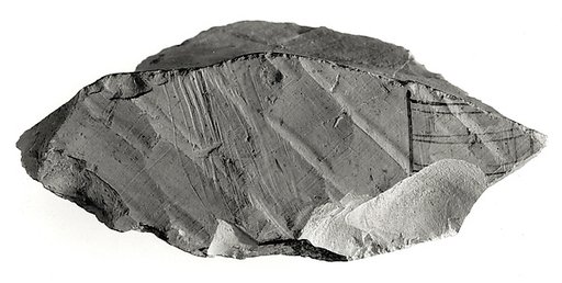 Fragment depicting a part of a drawing of funerary boat