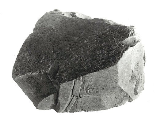 Raised relief fragment