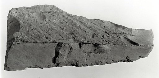 Raised relief fragment