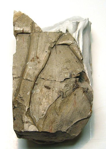 Raised relief fragment