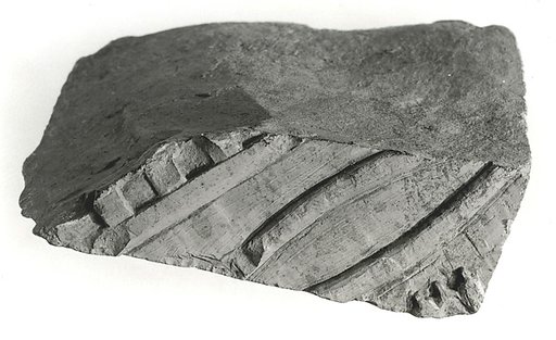 Raised relief fragment