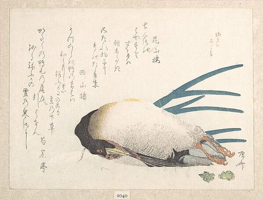 Spring Rain Collection (Harusame shū), vol. 1: Duck and Scallions