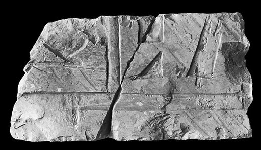 Sunk relief fragment