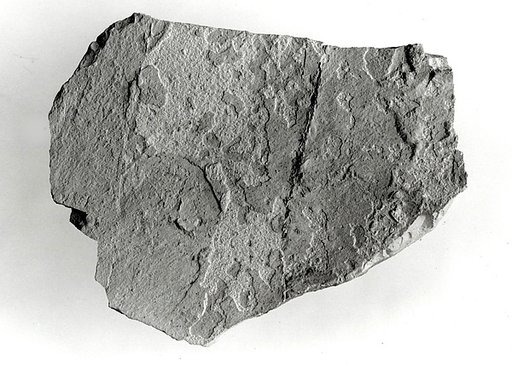 Wall casing