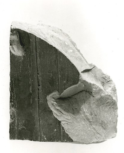 Raised relief fragment