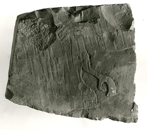 Raised relief fragment