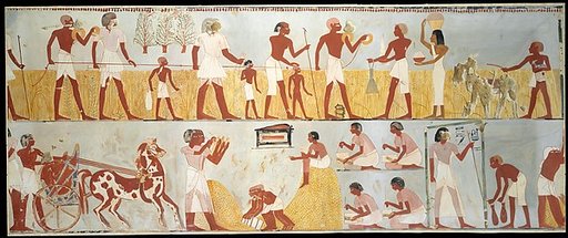 Harvest Scenes, Tomb of Menna