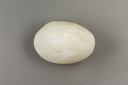 Clam-shell-shaped Hammer