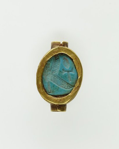 Cowroid Set in a Ring Bezel