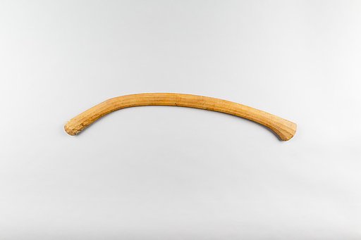 Throw Stick