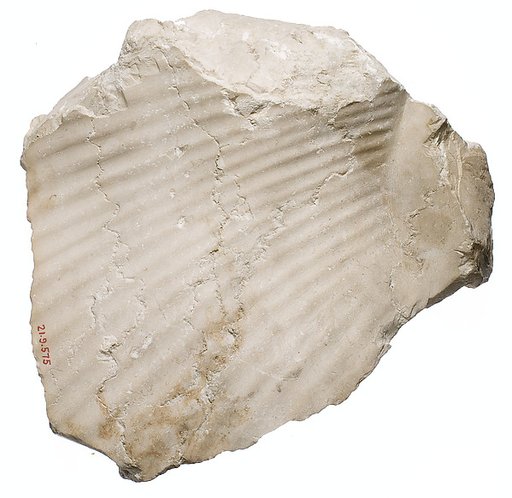 Back of Nefertiti / female