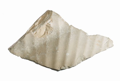 Body fragment of Nefertiti