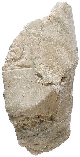 Arm, with garment, Aten cartouche