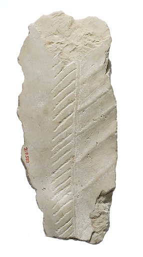 Body with garment, shawl pleating, fringe