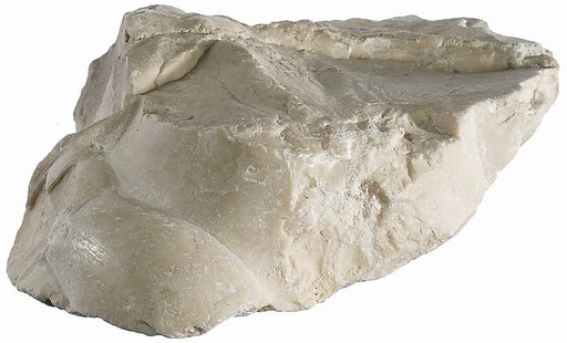 Foot fragment