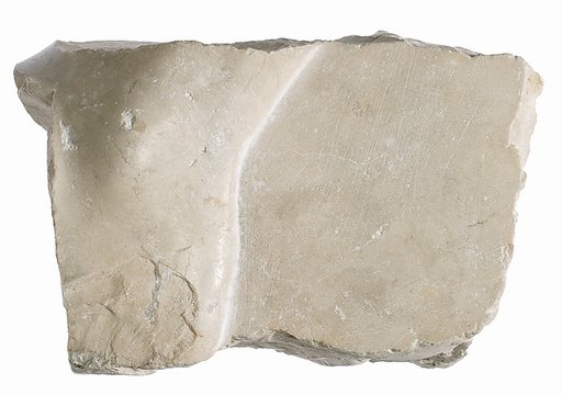 Left foot fragment