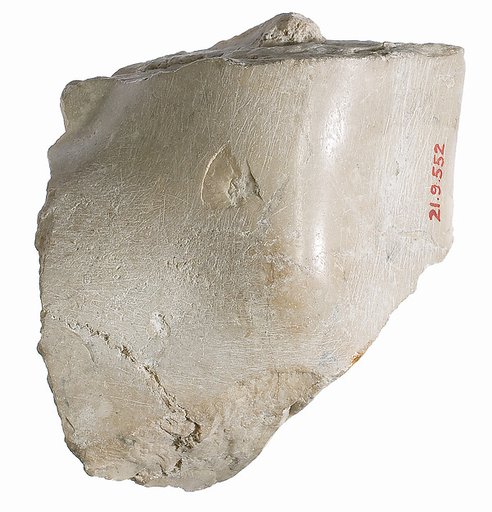 Foot fragment