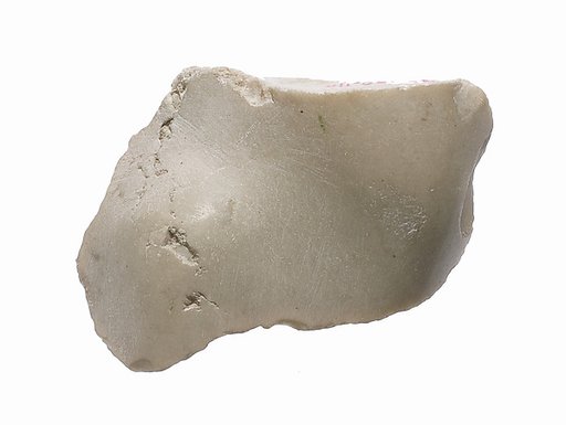 Foot fragment?