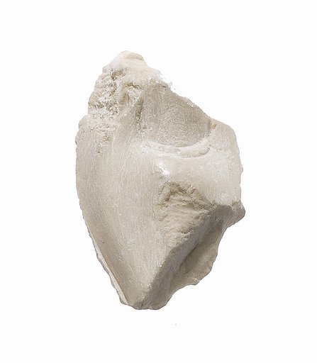 Digit fragment