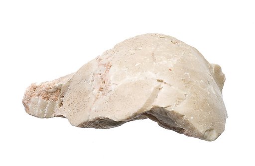 Shoulder with garment and wig