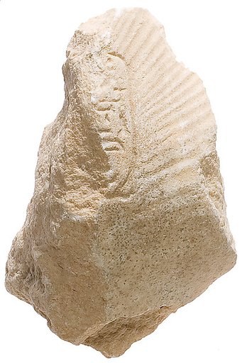 Breast with shawl, Aten cartouche