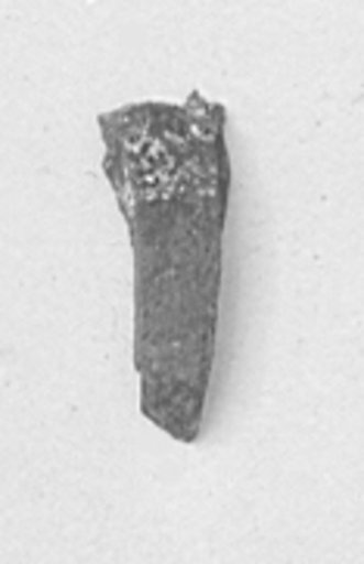 Chisel Fragment From Foundation Deposit 2 of Hatshepsut's Valley Temple