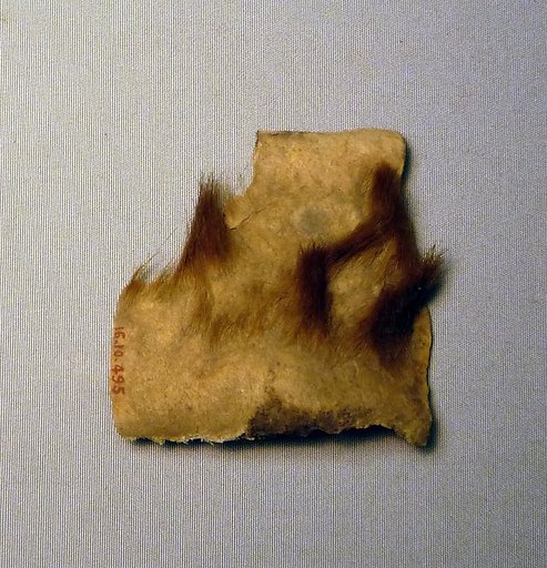 Hide Fragment From Foundation Deposit 2 of Hatshepsut's Valley Temple
