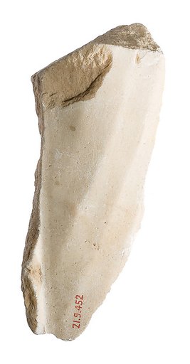 Body with garment, pleating