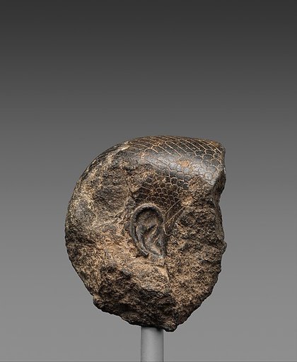 Fragment from the Head of a Queen's Statue