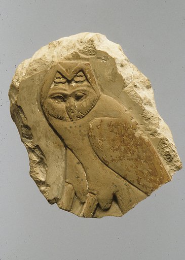 Relief, owl